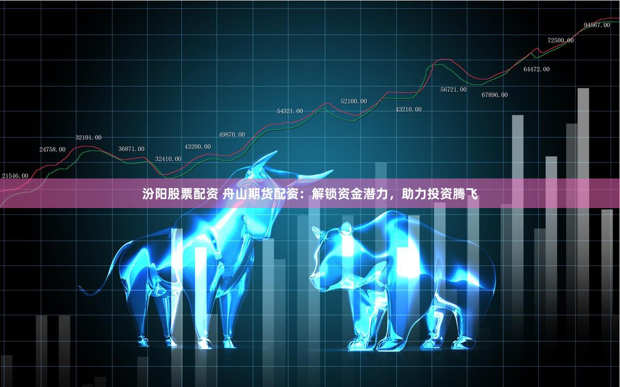 汾阳股票配资 舟山期货配资：解锁资金潜力，助力投资腾飞